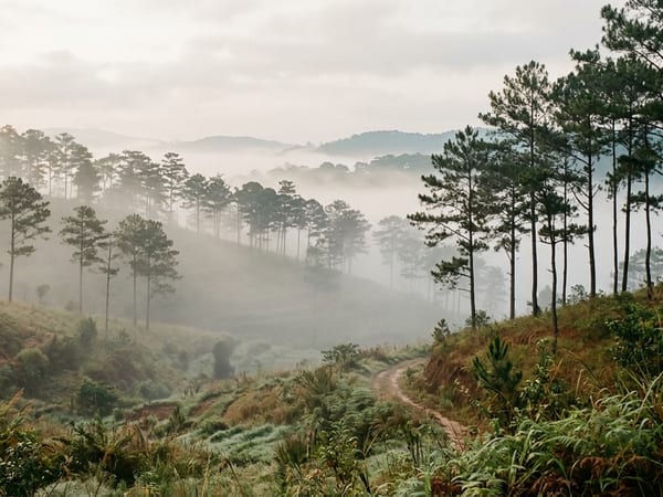 Da Lat highlands with morning fog and flowers